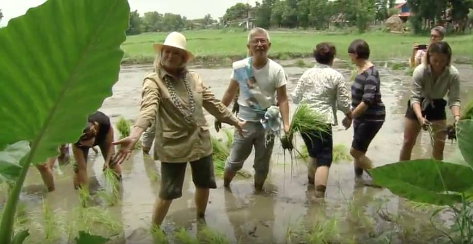 martha stewart goes to pampanga 2